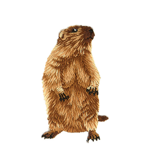 Juego de 3 parches termoadhesivos con cabeza de marmota derecha, 3,1 cm x 5,4 cm