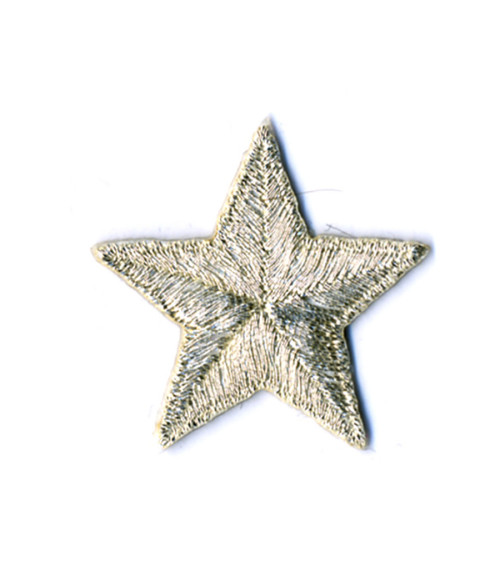 2.5 cm silver star badge