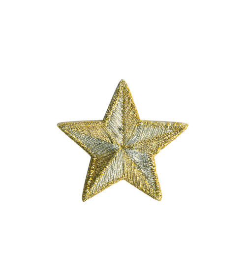 2.5 cm silver/gold star badge