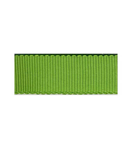 Disquete 16m Grosgrain Petersham VERDE ANÍS