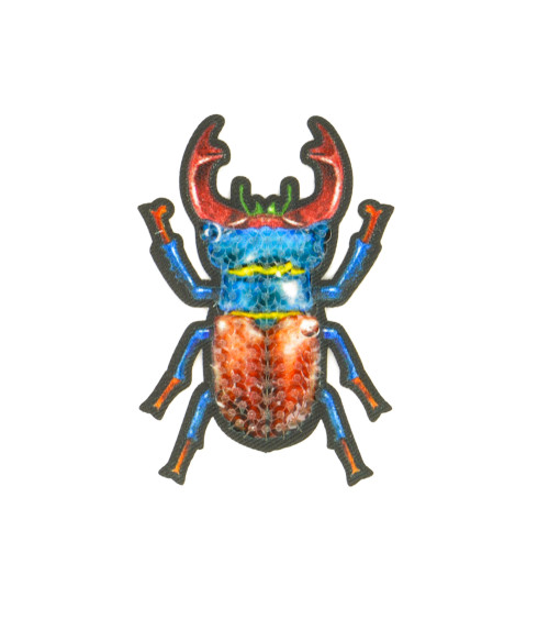 Iron-on insect scarab badge 6x4cm